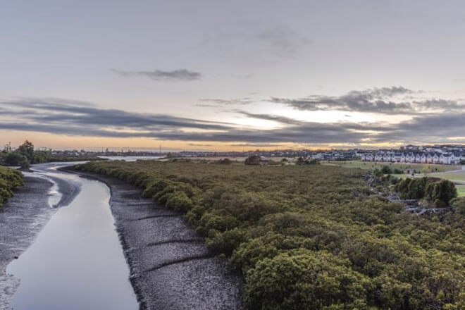 Estuary shot with houses in background