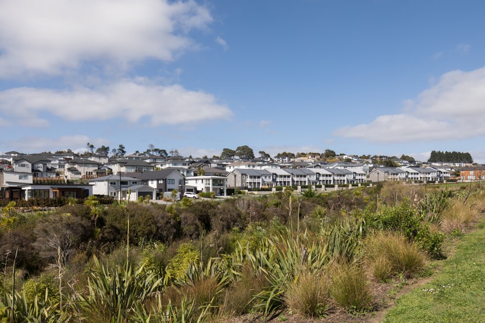 Houses on Millwater 