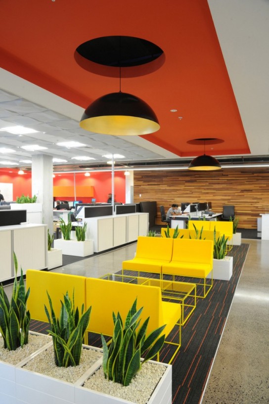 Woods Christchurch office interior