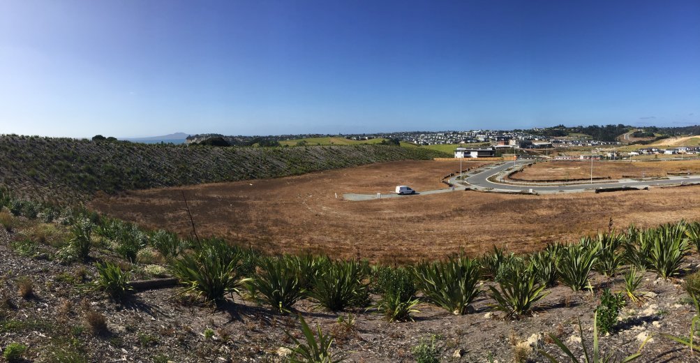 Wide view of subdivision with planting and complete roading